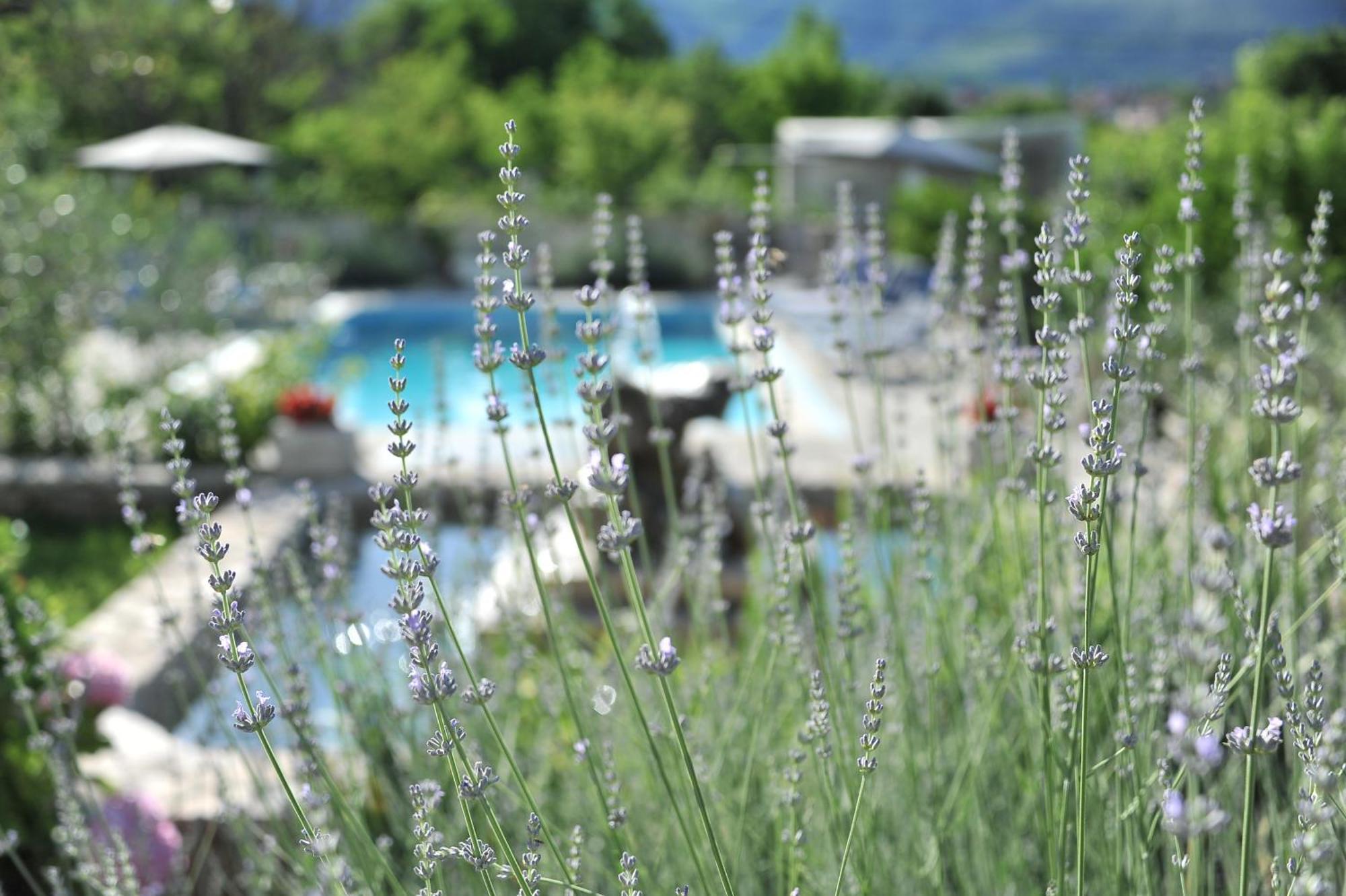 Apartamento Pool House Maslina Mostar Exterior foto